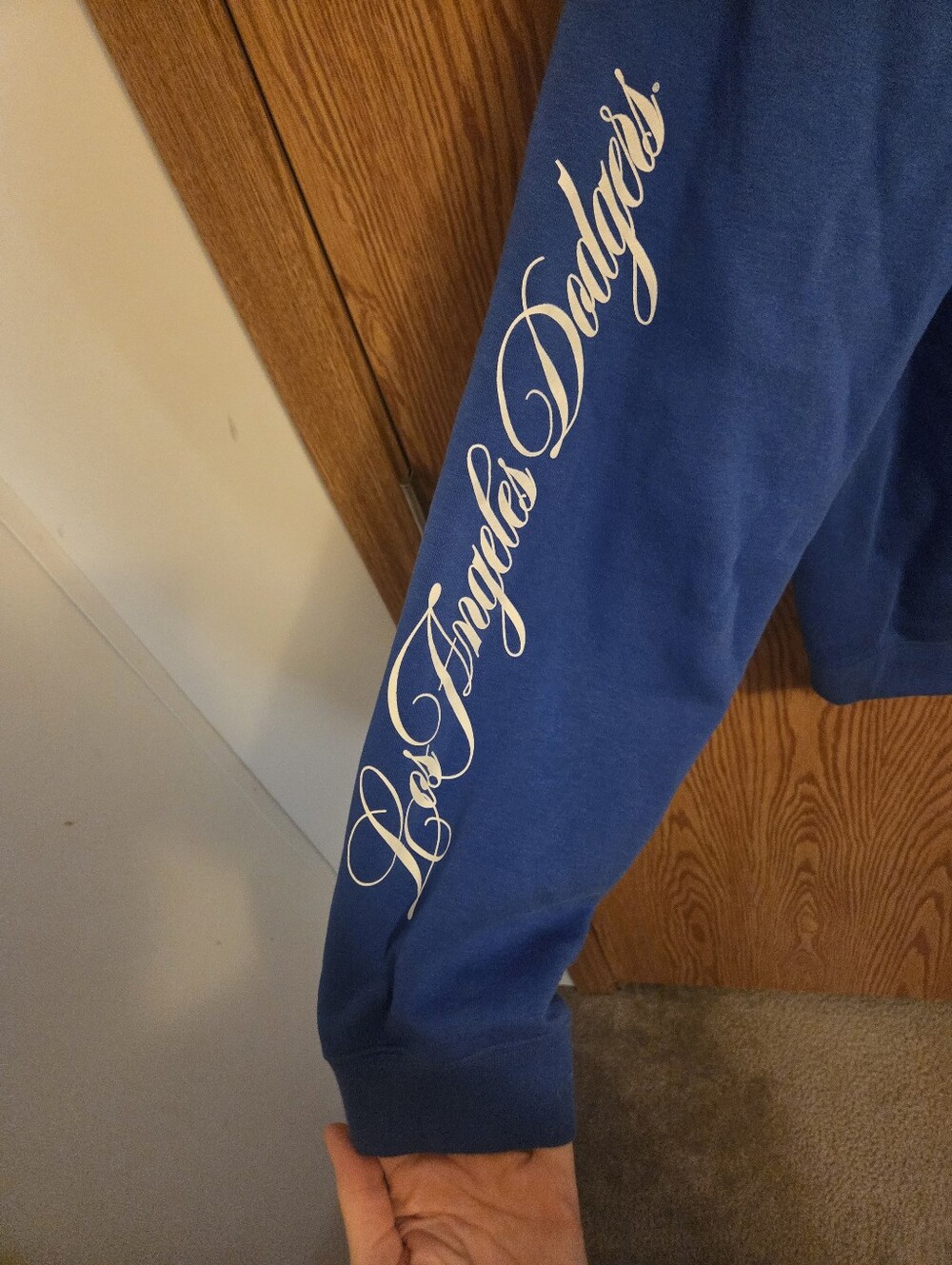 Nike Los Angeles Dodgers 2025 World Series Champs Sweatshirt Sz Large Men's MLB - Picture 5 of 6